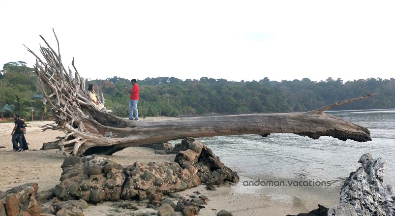 Chidiya Tapu Beach